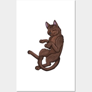 Chocolate Shorthair Posters and Art
